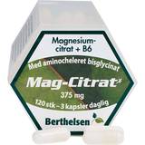 Berthelsen Magnesium Fedtsyrer Berthelsen Mag Citrat 120 stk