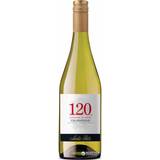 Chile Vine Santa Rita 120 2016 Chardonnay Central Valley 13.5% 75cl