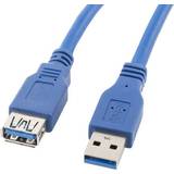 Blå - USB-kabel Kabler Lanberg USB A-USB A M-F 3.0 1.8m