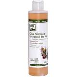 Bioselect Plejende Hårprodukter Bioselect Olive Shampoo for Normal Dry Hair 200ml