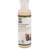 Bioselect Pumpeflasker Hårprodukter Bioselect Olive Shampoo for Oily Hair 200ml