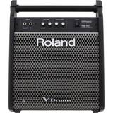 Roland Instrumentforstærkere Roland PM-100