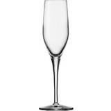 Stölzle Transparent Champagneglas Stölzle Exquisit Champagneglas 17.5cl