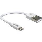 DeLock USB A-Lightning - USB-kabel Kabler DeLock USB A - Lightning 0.2m
