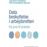 Jura E-bøger Databeskyttelse i arbejdsretten (E-bog, 2018)