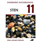 Sten (E-bog, 2018)