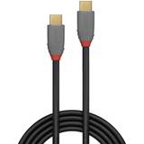 3,1 - Guld - USB-kabel Kabler Lindy Anthra Line USB C-USB C 3.1 0.5m