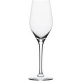 Stölzle Transparent Champagneglas Stölzle Exquisit Champagneglas 26.5cl