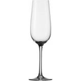 Stölzle Transparent Køkkentilbehør Stölzle Weinland Champagneglas 20cl