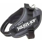Julius k9 mini mini Julius-K9 IDC Power Harness 16IDC-ANT-M