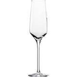 Stölzle Transparent Champagneglas Stölzle Experience Champagneglas 18.8cl