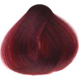 Permanente hårfarver Sanotint Classic #22 Waldbeere 125ml