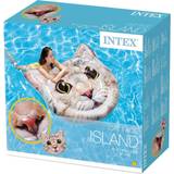 Katte Udendørs legetøj Intex Cat Face Island