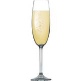 Tescoma Champagneglas Tescoma Charlie Champagneglas 22cl 6stk
