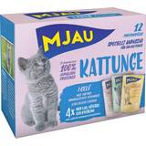 Mjau Kæledyr Mjau Multibox Kitten with Jelly Portion