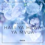 Swahili Bøger Mazingira - Hali ya hewa ya Mvua (Lydbog, MP3, 2019)
