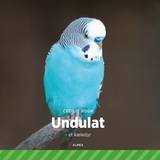 Undulat Undulat - et kæledyr (Lydbog, MP3, 2019)