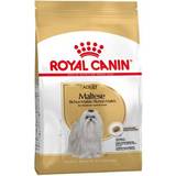 Svinekød Kæledyr Royal Canin Maltese Adult 1.5kg