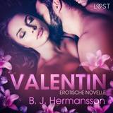 Valentin: Erotische Novelle (Lydbog, MP3, 2019)