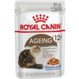 Royal canin ageing 12 Royal Canin Aging 12+ in Jelly