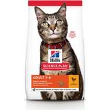 Hill's Katte Kæledyr Hill's Science Plan Adult Cat Food with Chicken 10