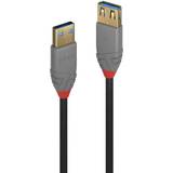 Guld - USB A-USB A - USB-kabel Kabler Lindy Anthra Line USB A-USB A 3.1 Gen.1 M-F 3m