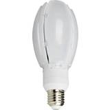 Industrier LED-pærer NASC Olive LED Lamps 30W E27