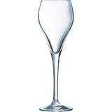 Arcoroc Champagneglas Arcoroc Brio Champagneglas 9.5cl 6stk