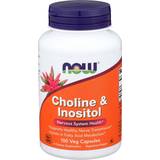 Now Foods Choline & Inositol 500mg 100 stk