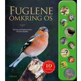 Papbog Bøger Fuglene omkring os - En bog med fuglestemmer for hele familien (Papbog, 2020)