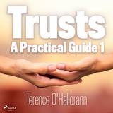 Trusts A Practical Guide 1 (Lydbog, MP3, 2020)