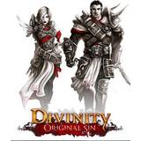 Divinity: Original Sin - Enhanced Edition (PC)