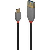 3,1 - Guld Kabler Lindy Anthra Line USB A-USB C 3.1 M-F 0.1m