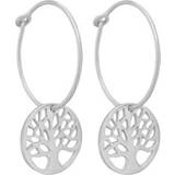 Frk Lisberg Tree of Life Creol Earrings - Silver