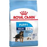 Royal Canin Hunde - Svinekød Kæledyr Royal Canin Maxi Puppy 15kg