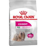 Royal Canin Dyrlægefoder - Mini (1-10 kg) Kæledyr Royal Canin Mini Exigent Adult 3kg