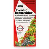 Granatæble Vitaminer & Mineraler Floradix Kräuterblut Mixed Fruit 500ml