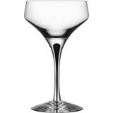 Krystalglas - Sort Orrefors Metropol Champagneglas 24cl
