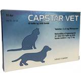 Capstar Vet Flea Repellent Cat and Dog