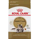 Royal canin kitten maine coon Royal Canin Maine Coon Kitten