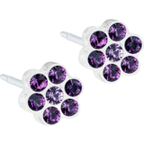 Lilla Smykker Blomdahl Daisy Earrings 5mm - White/Purple