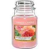 Yankee Candle Sun Drenched Apricot Rose Large Duftlys 623g