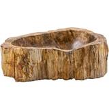 Gemlook Petrified wood (GL370)