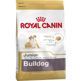 Royal Canin Kyllinger - Tørfoder Kæledyr Royal Canin Bulldog Junior 12kg