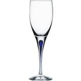 Blå Glas Orrefors Intermezzo Hvidvinsglas 19cl