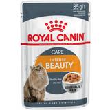 Royal Canin Katte - Vådfoder Kæledyr Royal Canin Intense Beauty Jelly