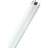LEDVANCE G13 Lysstofrør LEDVANCE Lumilux T8 Fluorescent Lamp 30W G13 830