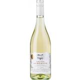 Grøntsager Vine Grande Alberone Bianco Chardonnay Sicily 13% 75cl