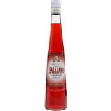 Galliano L´Aperitivo 24% 50 cl