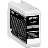 Epson T46S7 (Gray)
